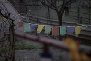 Motlitební praporky vydrží obří zimu v himaláji, ale rajhradický mráz nepřežili. 