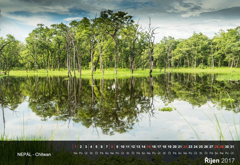 Jezero v pralese v národním parku Chitwan.