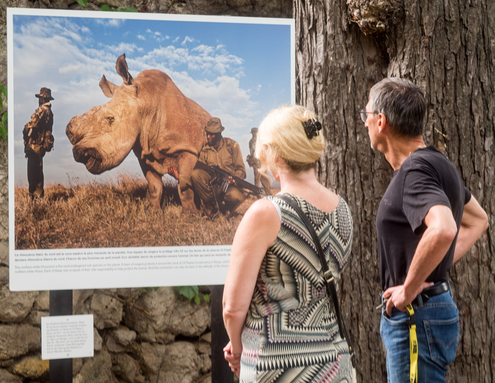  Brent Stirton